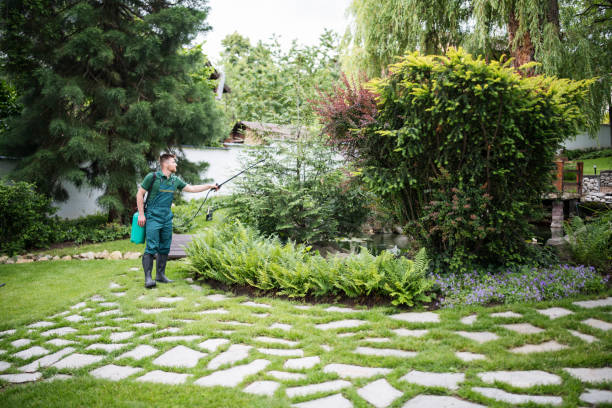 Best Wildlife Control Services  in Harrisonville, MO