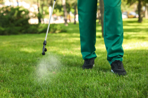 Best Pest Control Near Me  in Harrisonville, MO