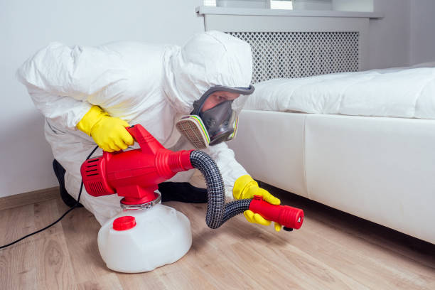 Best Bed Bug Extermination  in Harrisonville, MO