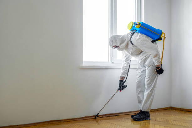 Best Pest Control for Businesses  in Harrisonville, MO