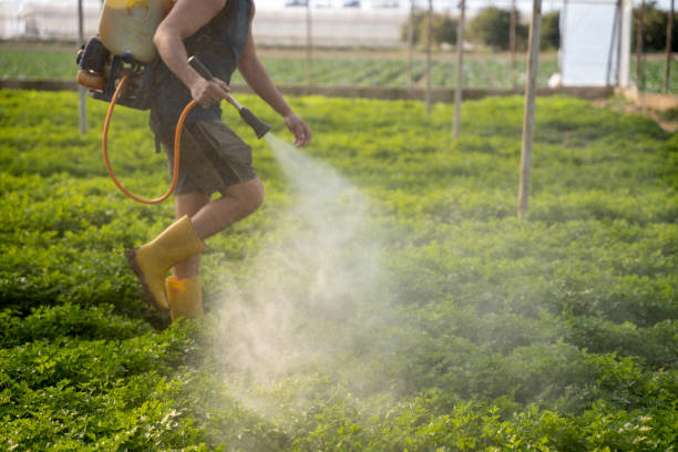 Pest Prevention Services in Harrisonville, MO