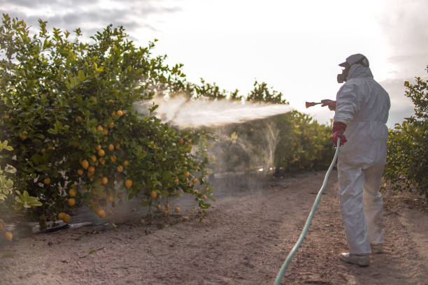 Best Pest Inspection Near Me  in Harrisonville, MO