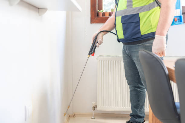 Reliable Harrisonville, MO Pest Control Solutions