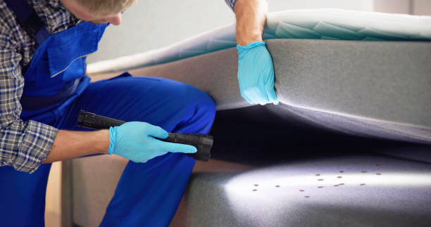 Best Pest Prevention Services  in Harrisonville, MO