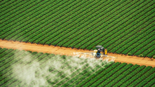 Best Pest Control for Businesses  in Harrisonville, MO