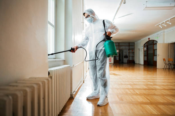 Best Exterminator Services  in Harrisonville, MO