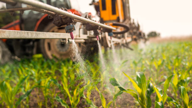 Best Pest Inspection Near Me  in Harrisonville, MO